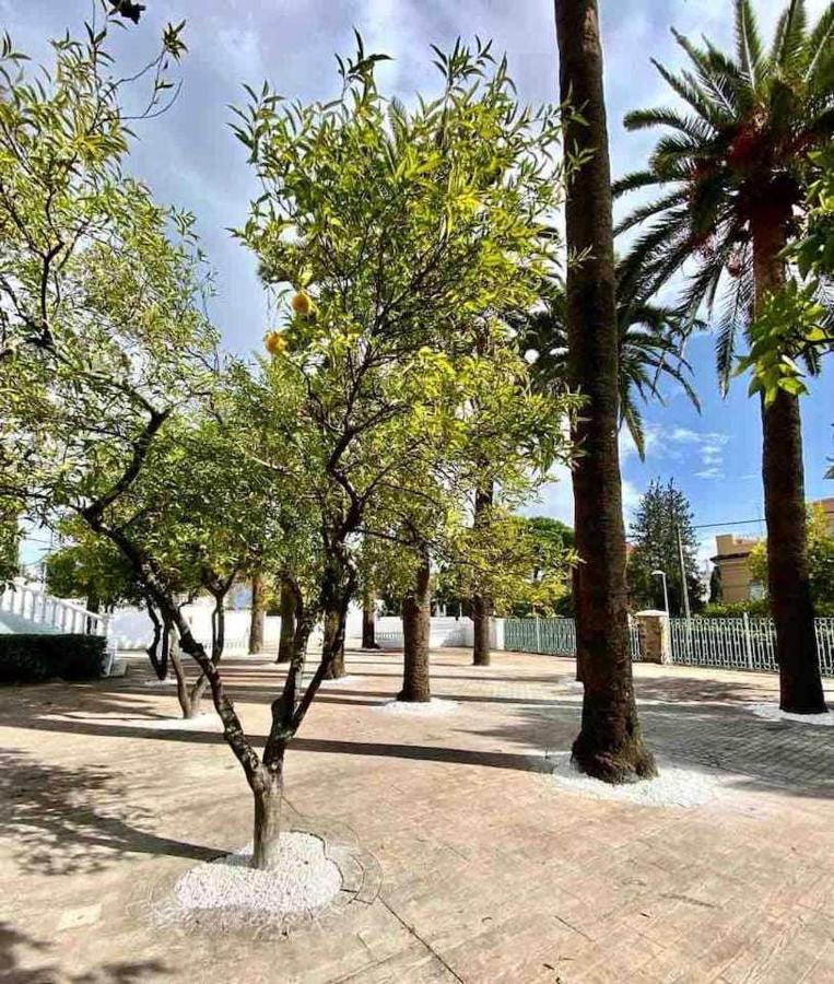 Nuevo Los Almendros 204 Complejo Turistico Daire Córdoba Dış mekan fotoğraf