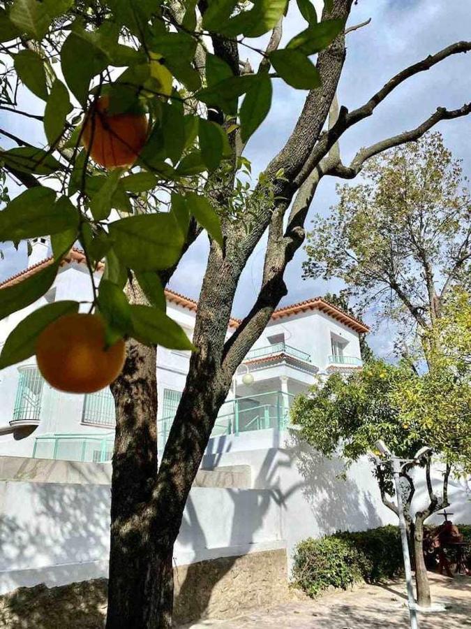 Nuevo Los Almendros 204 Complejo Turistico Daire Córdoba Dış mekan fotoğraf